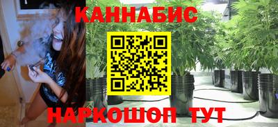 наркотики Новозыбков