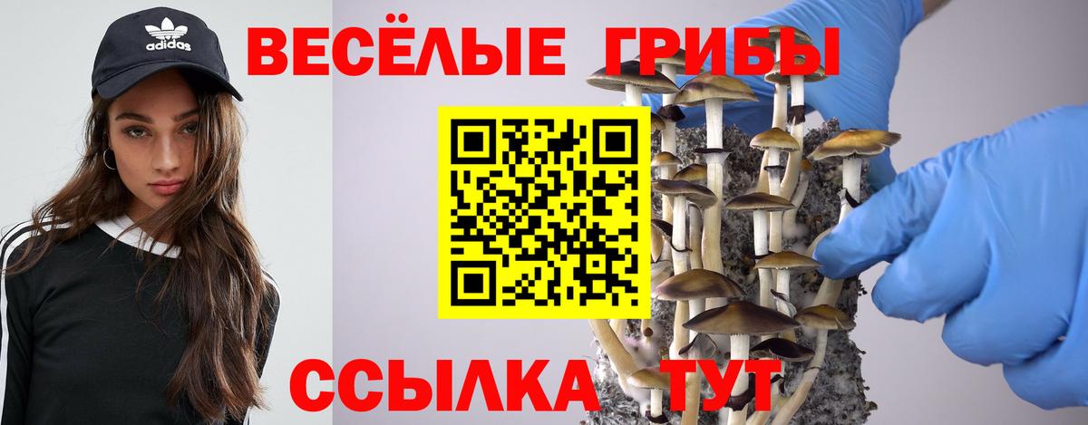 Псилоцибиновые грибы прущие грибы Урюпинск